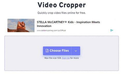 online video cropper|Crop Video Files Online for Free .